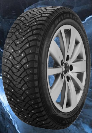 Dunlop Winter Ice 03 (1)